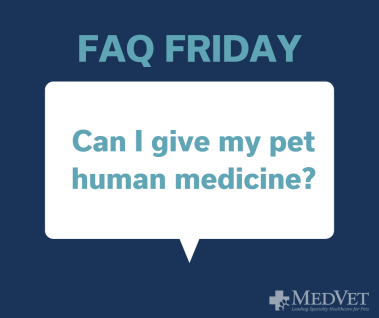 Can I give my pet human medicine_