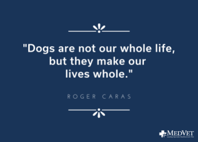 Dogs are not our whole life, but they make our lives whole. quote