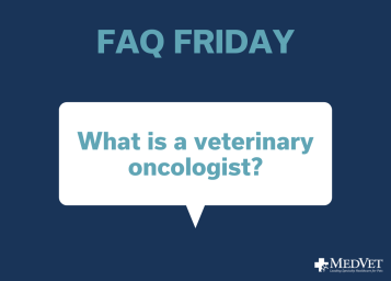 A common question we are asked is "What's a veterinary medical oncologist?" They are board-certified veterinarians who treat common and rare cancers in pets. They use state-of-the-art equipment and advanced techniques to safely and effectively diagnose and treat various forms of cancer. Read more about veterinary medical oncology: https://hubs.ly/H0lD3rd0