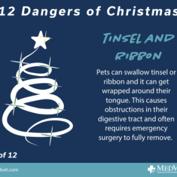 12 Dangers of Christmas 4